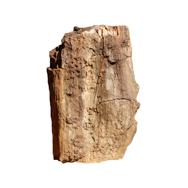 Batu Besar Coklat Bogwood Terisolasi Pada Latar Belakang Putih — Stok Foto