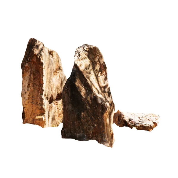 Piedra Grande Marrón Bogwood Aislado Sobre Fondo Blanco —  Fotos de Stock