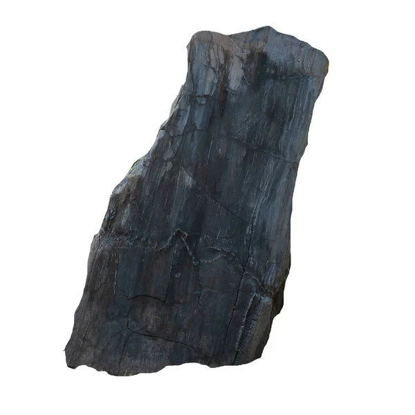 Groot Stenen Bruin Dennenhout Geïsoleerd Witte Achtergrond — Stockfoto