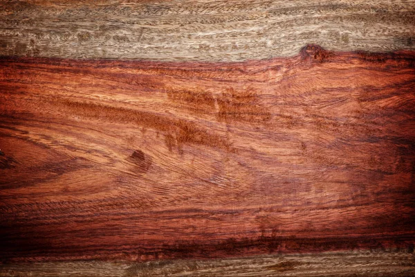 木质部 木质部 深色木质部 — 图库照片