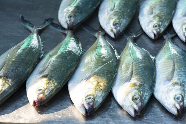 魚の海 新鮮な魚介類は地元の漁師を形成し 地元の漁師市場 — ストック写真