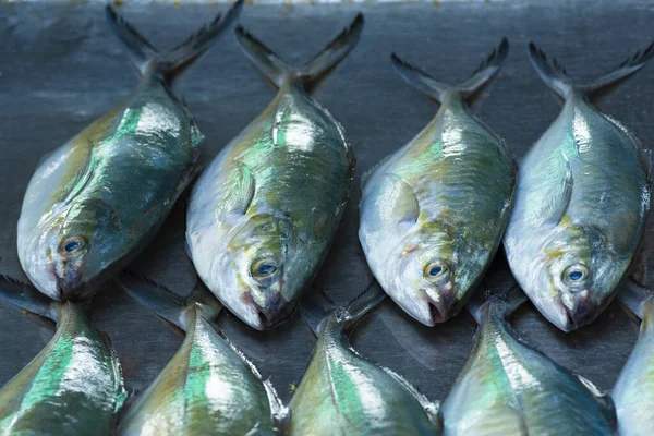 魚の海 新鮮な魚介類は地元の漁師を形成し 地元の漁師市場 — ストック写真