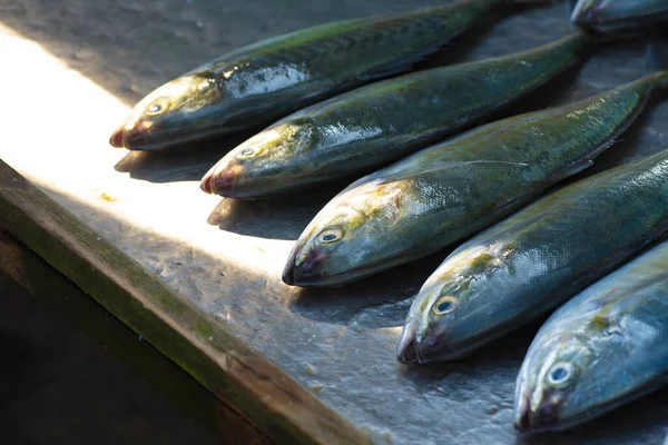 魚の海 新鮮な魚介類は地元の漁師を形成し 地元の漁師市場 — ストック写真