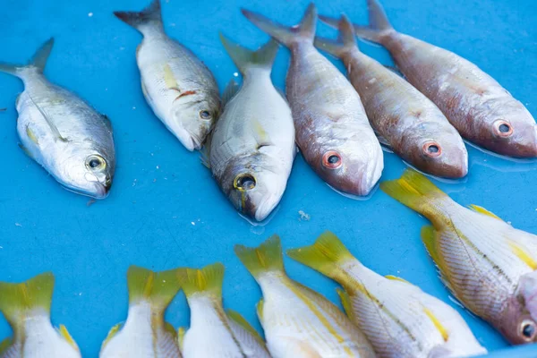 魚の海 新鮮な魚介類は地元の漁師を形成し 地元の漁師市場 — ストック写真