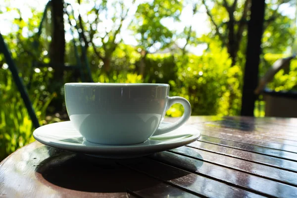 Morning cup of coffee and nature on green background .