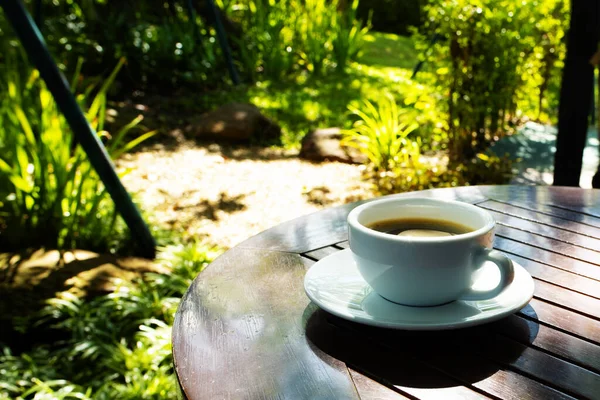 Sabah Kahvesi Yeşil Arka Planda Doğa — Stok fotoğraf