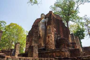 Kamphaeng 'deki Wat Tapınağı Phet Tarihi Park Tayland.