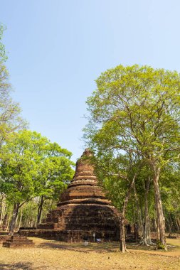 Kamphaeng 'deki Wat Tapınağı Phet Tarihi Park Tayland.