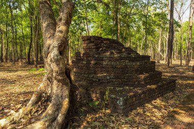 Kamphaeng 'deki Wat Tapınağı Phet Tarihi Park Tayland.