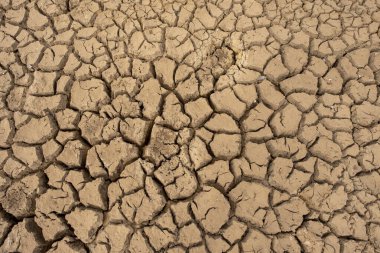 Kuru ve çatlak zemini olan bataklık arazisi. Küresel ısınma arka planı.