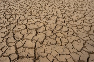 Kuru ve çatlak zemini olan bataklık arazisi. Küresel ısınma arka planı.
