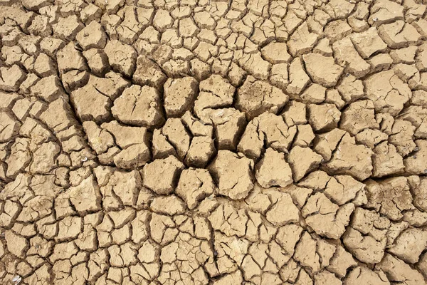 Marsh Land Dry Cracked Ground Global Warming Background — Stock Photo, Image