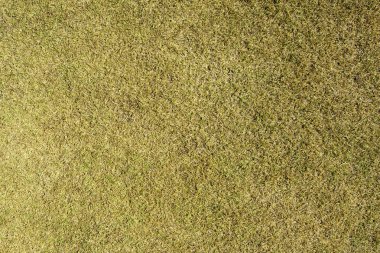 Kahverengi çimen dokusu, kahverengi çimen arka bahçe arka bahçe saman dokusu, park çimen dokusu..