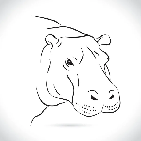 Vector Image Hippopotamus Head White Background — Stock Photo, Image