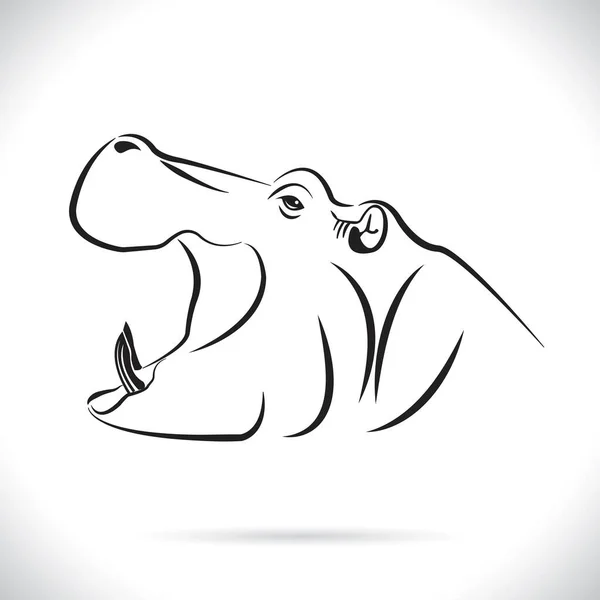 Image Vectorielle Une Tête Hippopotame Sur Fond Blanc — Photo
