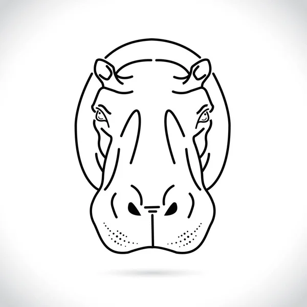 Vektor Gambar Dari Kepala Kuda Nil Latar Belakang Putih — Stok Foto