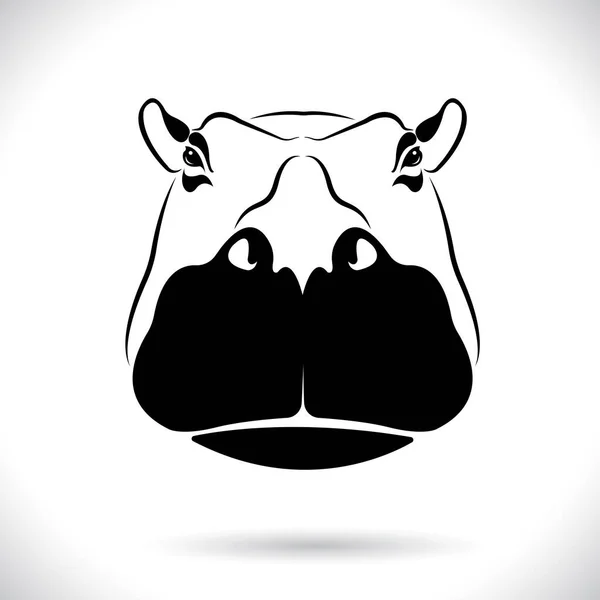 Imagem Vetorial Uma Cabeça Hipopótamo Sobre Fundo Branco —  Vetores de Stock