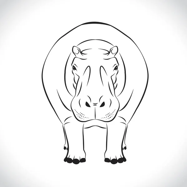 Image Vectorielle Hippopotame Sur Fond Blanc — Image vectorielle