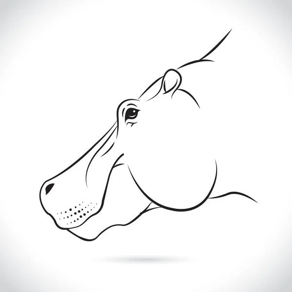 Image Vectorielle Une Tête Hippopotame Sur Fond Blanc — Image vectorielle