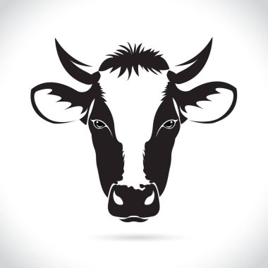 Beyaz arka planda izole edilmiş inek kafası tasarımı vektörü. inek başlıklı logo.