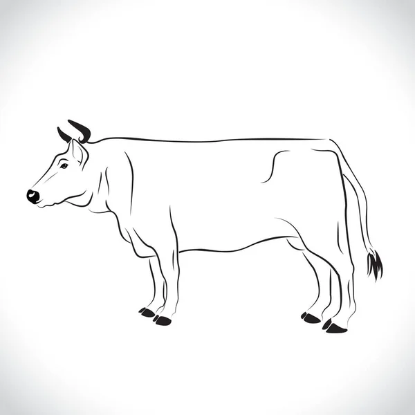 Vektor Konstrukce Těla Krávy Izolovaný Bílém Pozadí Logo Těla Krávy — Stockový vektor