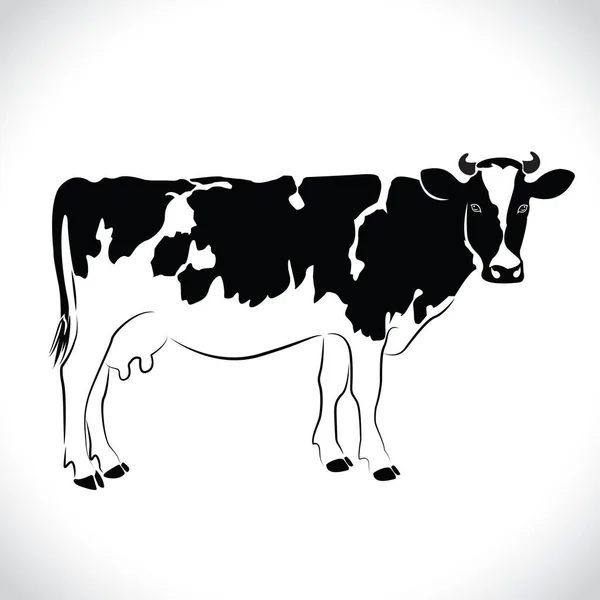 Beyaz arka planda izole edilmiş bir süt ineği tasarımı vektörü. Süt İneği Logosu.