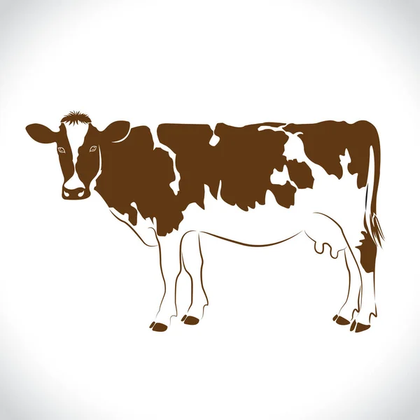 Beyaz Arka Planda Izole Edilmiş Süt Kahverengi Inek Tasarımı Vektörü — Stok Vektör