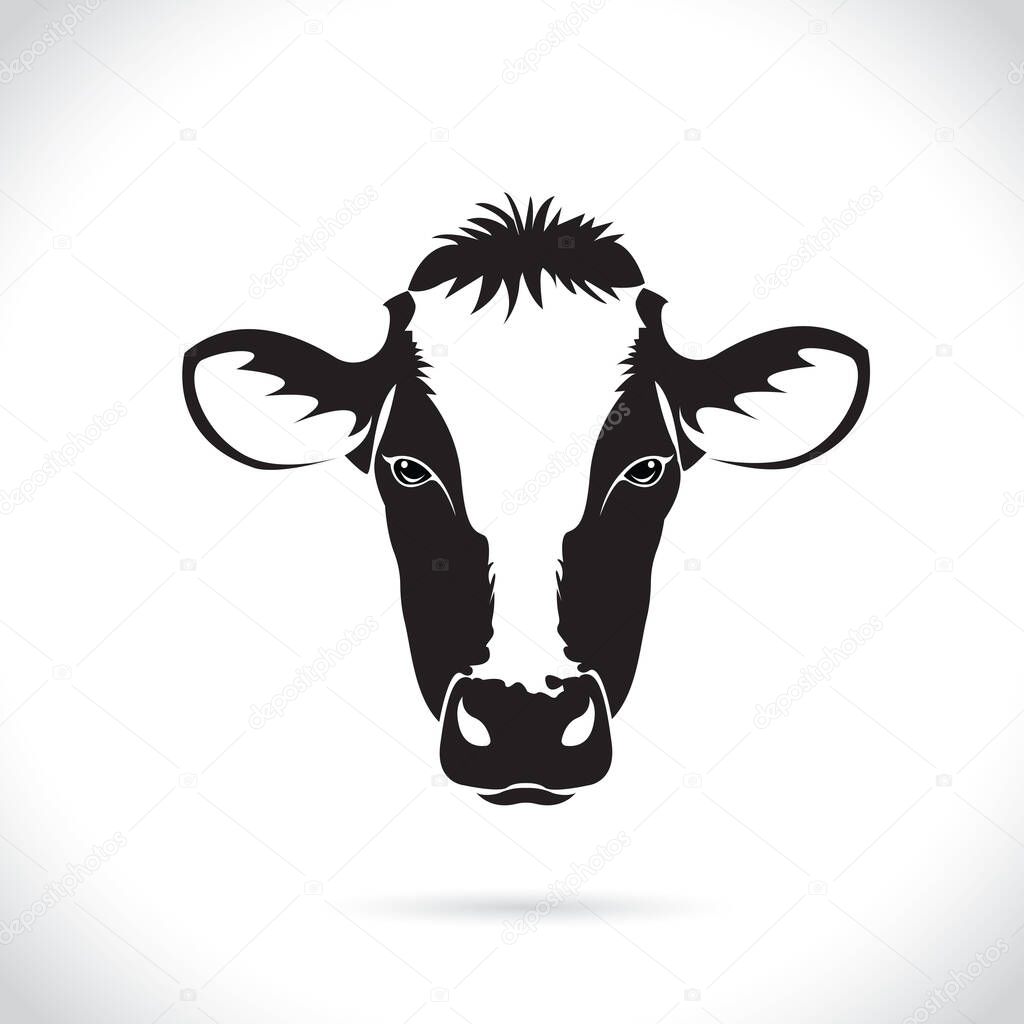 vector of an cow head design isolated on the white background. cow head Logo.
