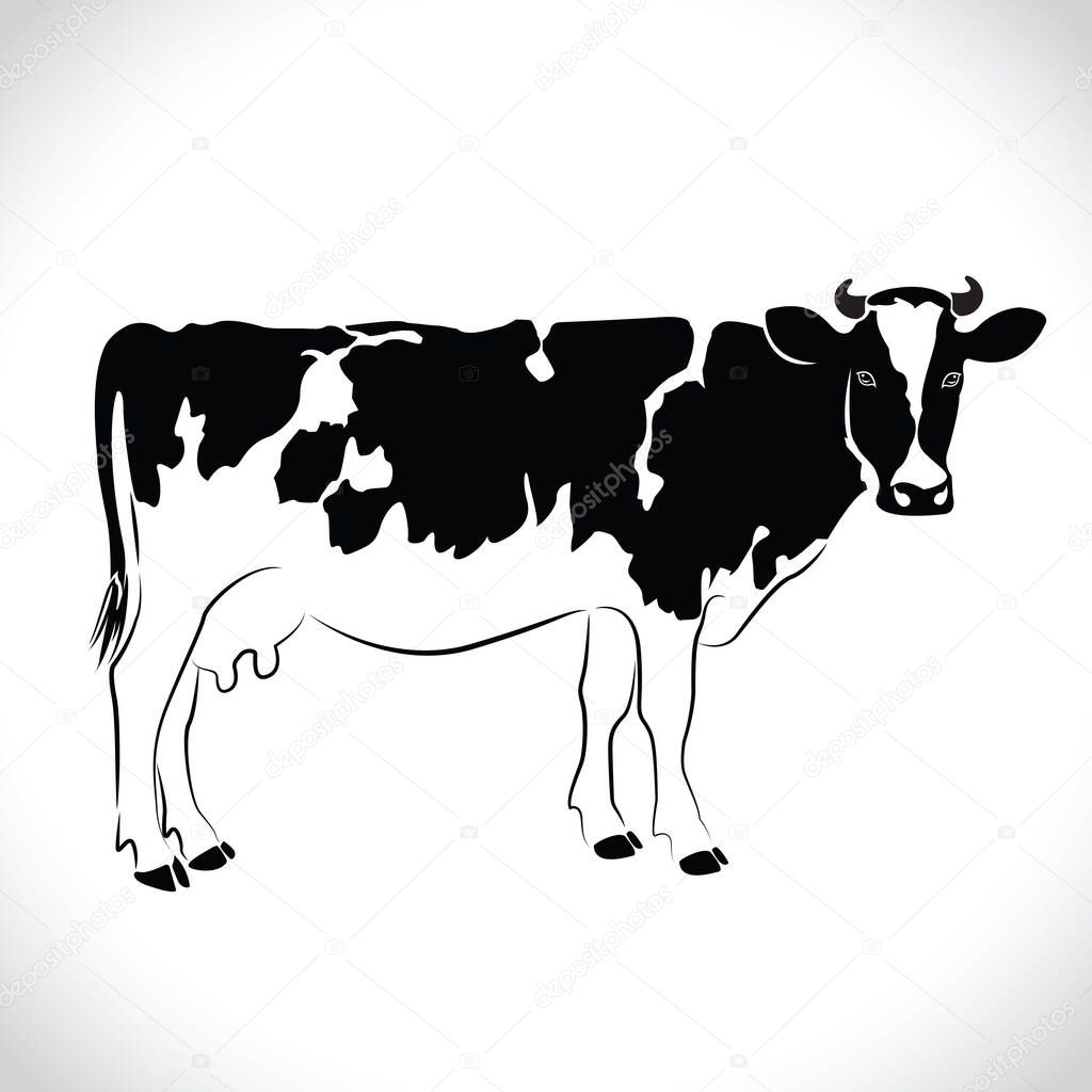 vector of an milk cow design isolated on the white background. Milk cow Logo.