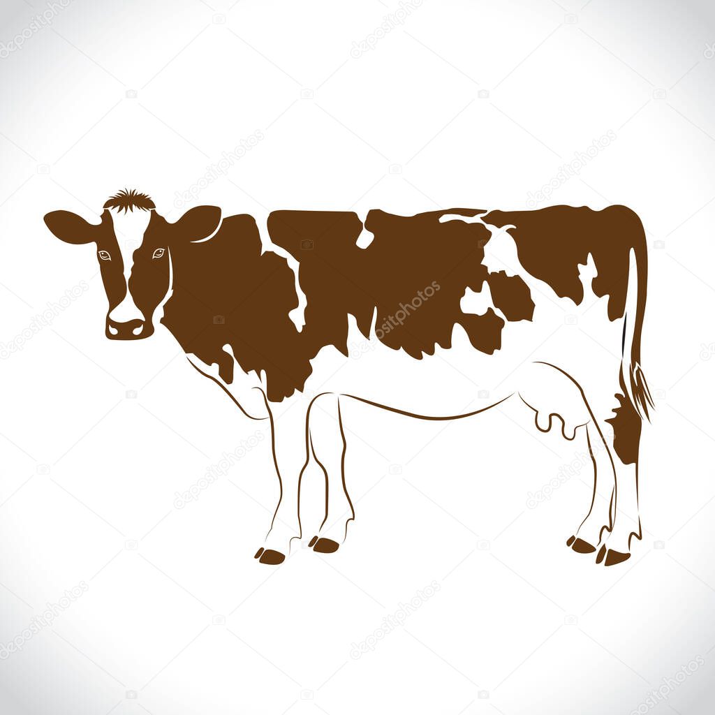vector of an milk brown cow   design isolated on the white background. Milk brown cow color Logo.