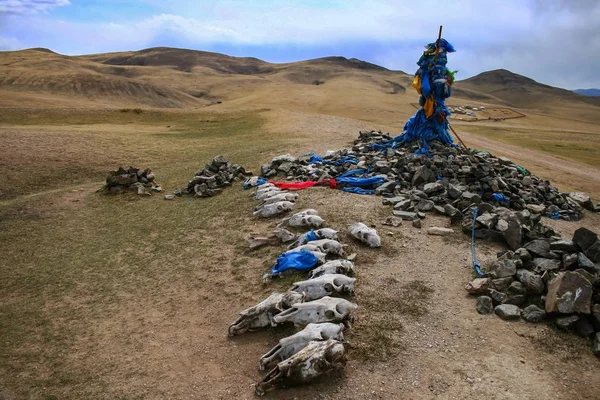 Ovoo, oboo ou obo (pilha de rocha cerimonial ou cairn) com hadags sagrados ou khadags (cachecóis de seda azul) com crânios de ovelha perto do Mosteiro de Erdene Zuu Khiid em Kharkhorin ou Karakorum, Mongólia . — Fotografia de Stock
