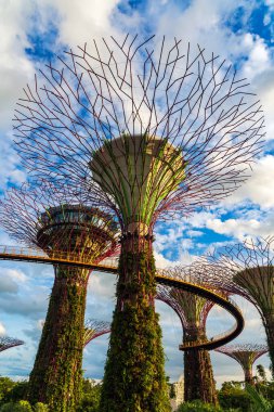 Singapur, körfez yakınlarındaki Garden 'daki süper ağaç korusunda altın saat. Dikey manzara..