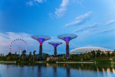 Süperağaçların üzerindeki karanlık ve körfez kenarındaki seralardan biri, Flyer hariç, dünyanın en büyük dönme dolaplarından biri, Singapur..
