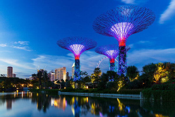 Dusk over the supertrees in Garden by the Bay, before the Flyer, one of the largest Ferris wheel in the world, Singapore.