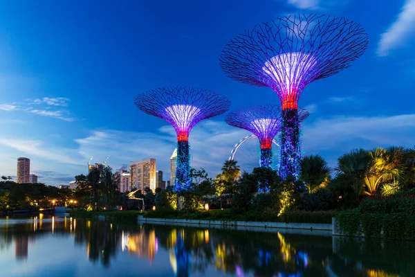 Dusk Supertrees Garden Bay Flyer One Largest Ferris Wheel World Stock Photo