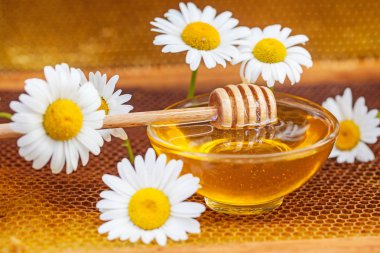 ?hamomile bloom, petek ve bal