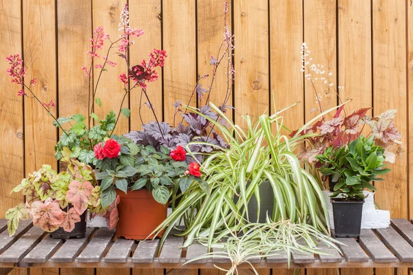 Molti fiori diversi su legno — Foto Stock