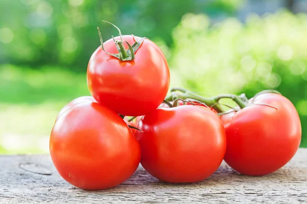 Röd tomat på träskiva, — Stockfoto