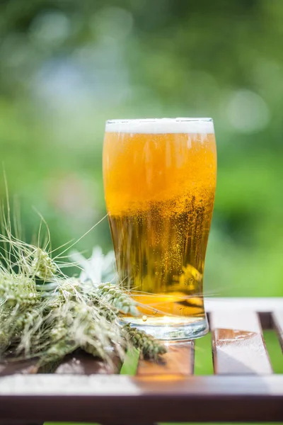 Glass beer, ears of wheat — Stock Photo, Image