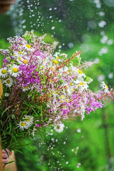 Boeket wilde bloemen — Stockfoto