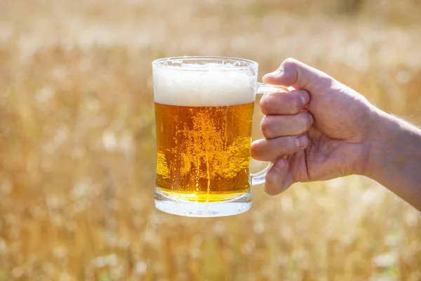 Wheat. Glass Beer. Summer. Outdoor. — Stock Photo, Image