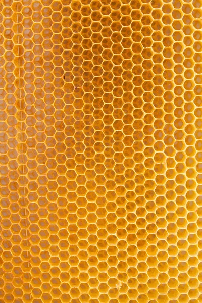 Természetes méhsejt textúra — Stock Fotó