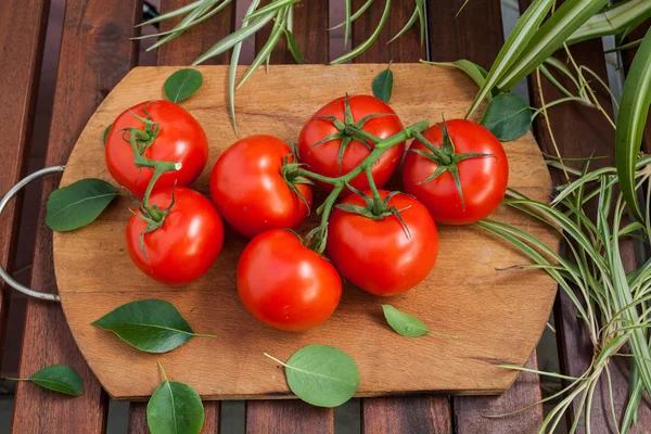 Red tomato fruit on wood — Stock Photo, Image