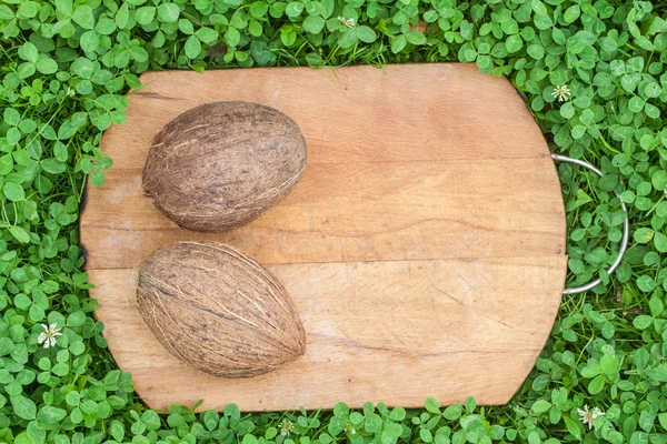 Coconut cutting board top view — Stock Photo, Image