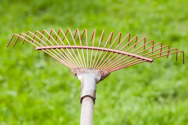 Rake garden, fundo verde natural , — Fotografia de Stock