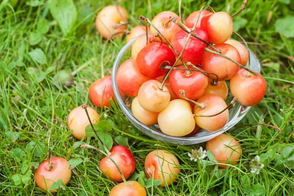 Weiße Kirschen auf Holz in — Stockfoto