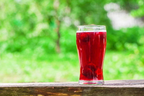 Красная слива фруктовый сок с — стоковое фото