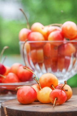 Kiraz yeşil doğal zemin üzerine