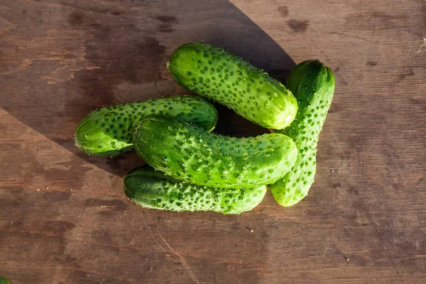 Pepino y hoja sobre madera —  Fotos de Stock