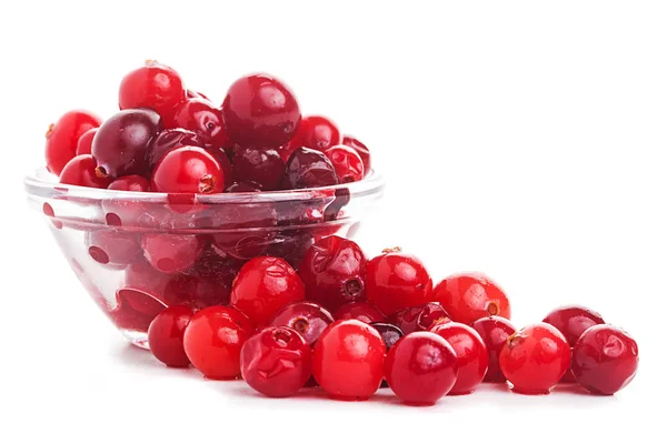 Cranberry isolated For your design. — Stock Photo, Image